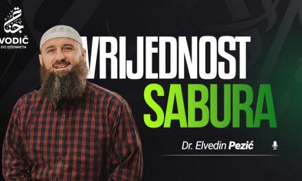 VRIJEDNOST SABURA – Dr. Elvedin Pezić