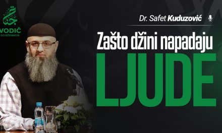 ZAŠTO DŽINI NAPADAJU LJUDE – Dr. Safet Kuduzović