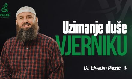 UZIMANJE DUŠE VJERNIKU – Mr. Elvedin Pezić