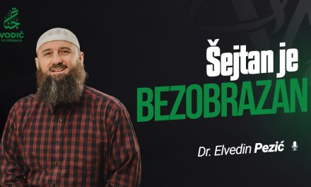 ŠEJTAN JE BEZOBRAZAN – Mr. Elvedin Pezić