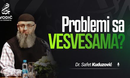 PROBLEMI SA VESVESAMA – Dr. Safet Kuduzović