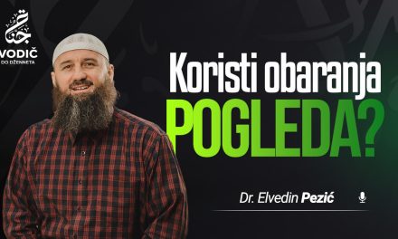 KORISTI OBARANJA POGLEDA – Dr. Elvedin Pezić