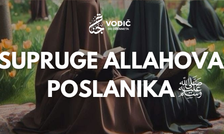 Supruge Allahova Poslanika, sallallahu alejhi ve selem