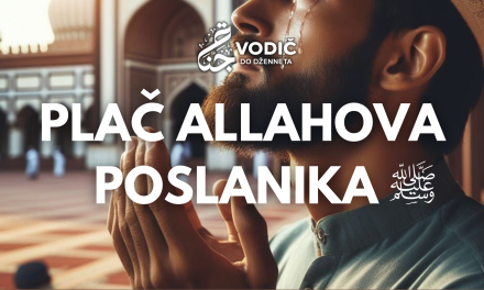 Plač Allahova Poslanika, sallallahu alejhi ve sellem