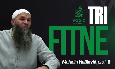 TRI FITNE – Muhidin Halilović, prof.