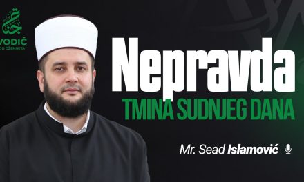 NEPRAVDA TMINA SUDNJEG DANA – Mr. Sead Islamović