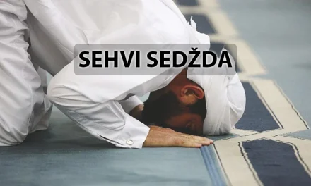 Propisi sehvi-sedžde