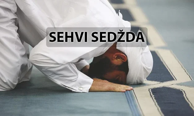 Propisi sehvi-sedžde