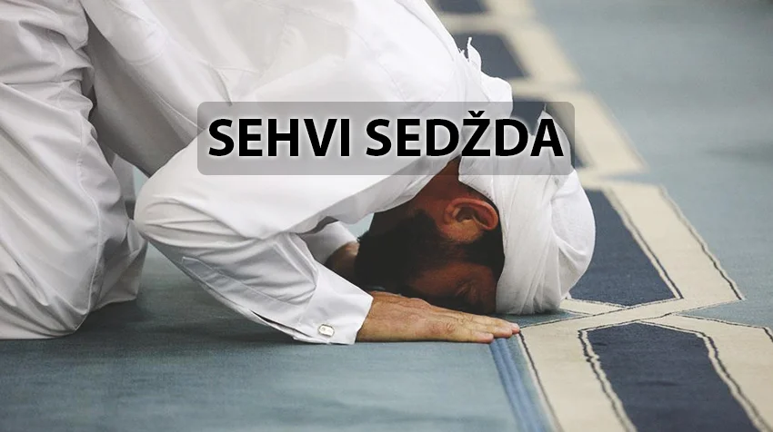 Propisi sehvi-sedžde