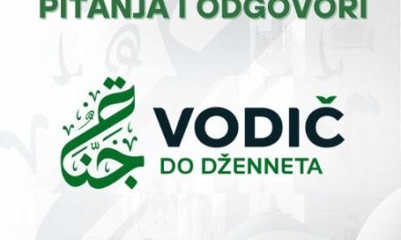 Da li nevjerničko dijete uzima propis roditelja koji prime islam?