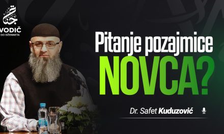 PITANJE POZAJMICE NOVCA – Dr. Safet Kuduzović