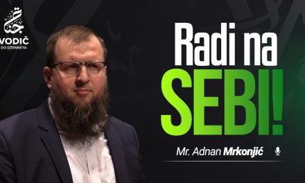 RADI NA SEBI – Mr. Adnan Mrkonjić