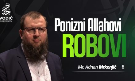 PONIZNI ALLAHOVI ROBOVI – Mr. Adnan Mrkonjić