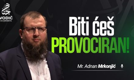 BITI ĆEŠ PROVOCIRAN – Mr. Adnan Mrkonjić