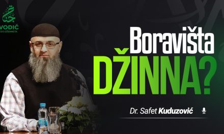 BORAVIŠTA DŽINNA! Dr Safet Kuduzović