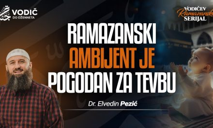 RAMAZANSKI AMBIJENT JE POGODAN ZA TEVBU – Dr. Elvedin Pezić