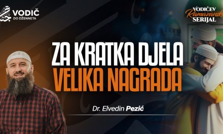 ZA KRATKA DJELA VELIKA NAGRADA – Dr. Elvedin Pezić